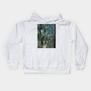 The Bottle House Kids Hoodie